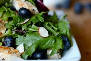 Summer Salad with Grilled Chicken and Blueberries by Elite Training Facility