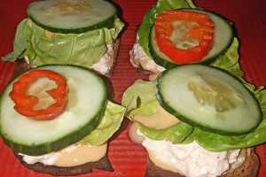 Vegetarian Mini Protein Sandwiches by Elite Training Facility